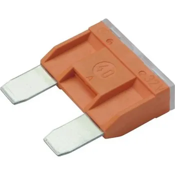 Autopojistky Pojistka BOSCH 1 987 529 020