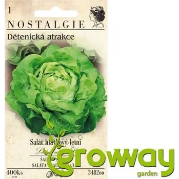 Semeno Salát hlávkový letní - 400 semen 1 ks