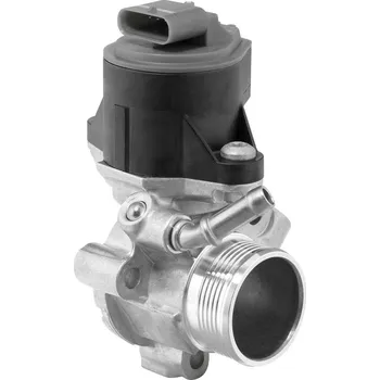 Palivový systém AGR-Ventil BORGWARNER 710525D