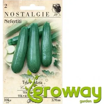 Semeno Tykev cuketa zelená Nefertiti 1 ks