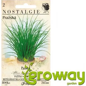 Semeno Pažitka Pražská - 800 semen 1 ks