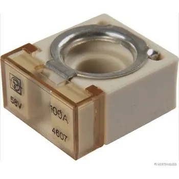 Autopojistky Pojistka HERTH+BUSS ELPARTS 50295882