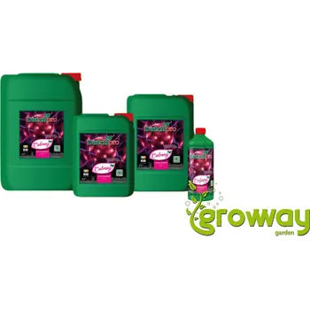 Hnojivo Dutchpro Calmag 1 l