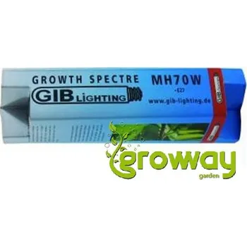 Žárovka GIB Growth spectre ADVANCED 70W MH 1 ks