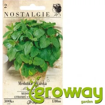 Semeno Nostalgie Meduňka lékařská 300 ks