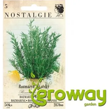 Rozmarýn lékařský - 50 semen 1 ks