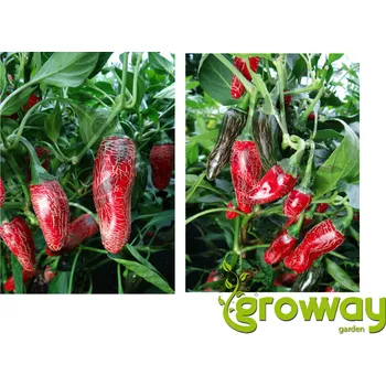 Semeno 02101 Jalapeno Maylon 10 ks