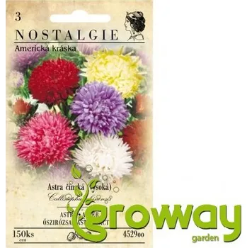 Semeno Astra vysoká AMERICKÁ KRÁSKA mix 1 ks