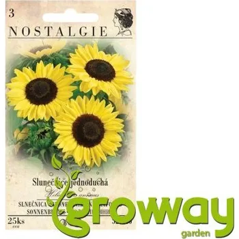 Slunečnice roční - 25 semen 1 ks