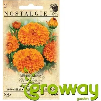 Semeno Měsíček lékařský - 65 semen 1 ks