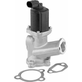 Palivový systém AGR-Ventil BORGWARNER 712070D