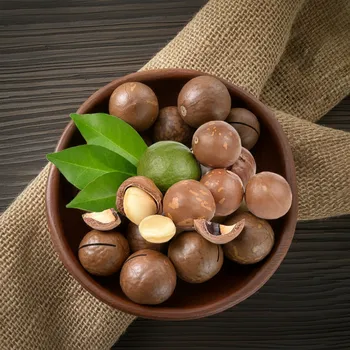 Krmivo pro hlodavce Makadamové ořechy nepražené ve skořápce (natural) 1 kg