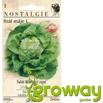 Semeno Salát hlávkový raný - 400 semen 1 ks