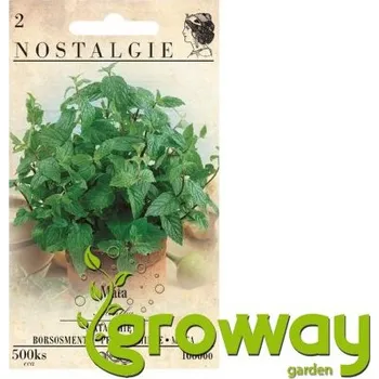 Máta peprná - 500 semen 1 ks