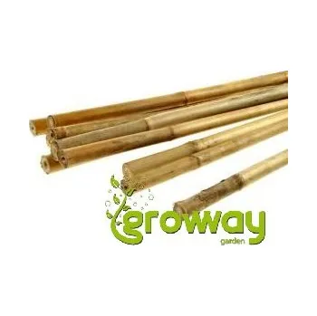 Opora na rostlinu Bambusová tyč 60 cm