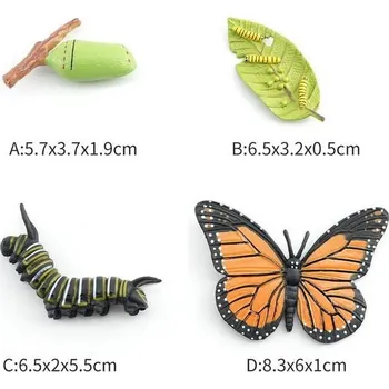 Figurka C - Figurka Motýl Monarcha stěhovavý 4 vývojové fáze 8 cm
