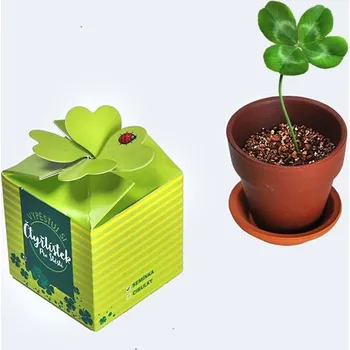 Divja Čtyřlístek vypěstuj si.. 0006-1_03