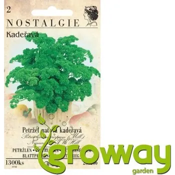 Semeno Petržel naťová kadeřavá 1 ks