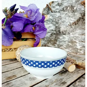 VITAL miska 14,5 cm, modrá mřížka, Thun 1794 (Porcelánová miska 2. jakost)