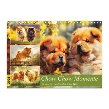 Cestování Chow Chow Momente. Fellpoesie aus dem Reich der Mitte (Wandkalender 2026 DIN A4 quer), CALVENDO Monatskalender: Würdevolle, sanfte und majestätische Herzenshunde in tollen Bildern. DE – Calvendo,Rose Hurley (DE)