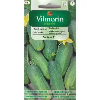 Semeno Okurka polní Santana F1 (nakládačka, jemnoostná, odolná plísni)