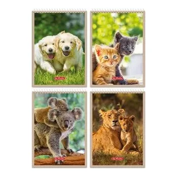 Set školních potřeb Kołonotatnik A7/40K kratka Animals (20szt)