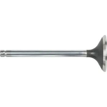 Briggs and Stratton Výfukový ventil Briggs and Stratton 792868 originální díl