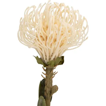 umělá květina Umělá rostlina Protea květ velký 73cm bílý Present Time (Barva-bílá)
