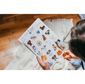 Desková hra ePiPí Pexeso - Kočky a psi