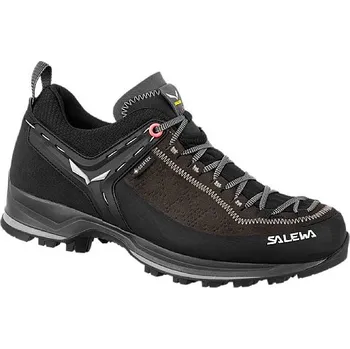 Pánská obuv Salewa boty WS MTN Trainer 2 GTX, černá, 40 (6,5)