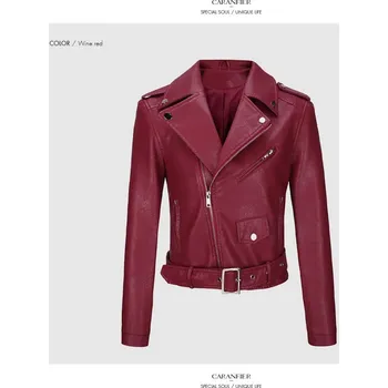 Dámský křivák Dámský kožený křivák se zipem a páskem Barva: Vínová, Velikost: XL