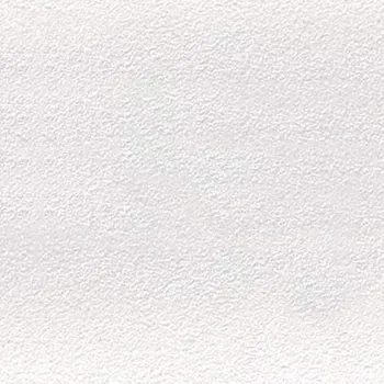 Rako Dlažba Color Two 20 x 20 cm, bílá, matná GAF1K023, GAF1K023