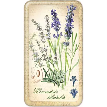 Dekorativní magnet Magnet - Levandule lékařská