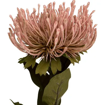 umělá květina Umělá rostlina Protea květ velký 73cm růžový Present Time (Barva-růžová)