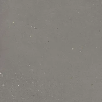 Dlažba ROCERSA HAPPY/JOY 4000006863 60 x 60 x 2 šedá 0,72 m2