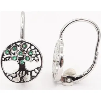 Náušnice Stříbrné náušnice s klasickým zapínáním