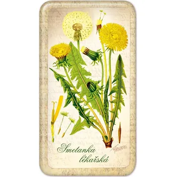 Dekorativní magnet Magnet - Smetanka lékařská