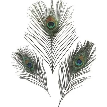 Výtvarná sada Dekorativní peříčka pávové 3ks / 20 cm