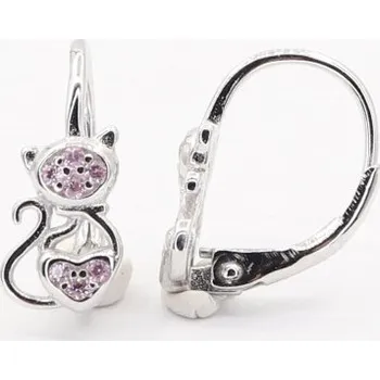 Náušnice Stříbrné náušnice s klasickým zapínáním