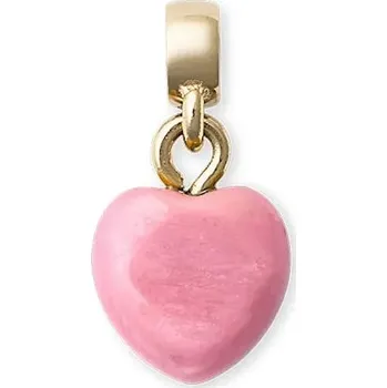 Přívěsek Pozlacený přívěsek Daniel Wellington DW00401477 růžová 30X, vel. ONE SIZE