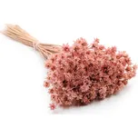 mech-mech.cz Sušená Hill Flower - lososová