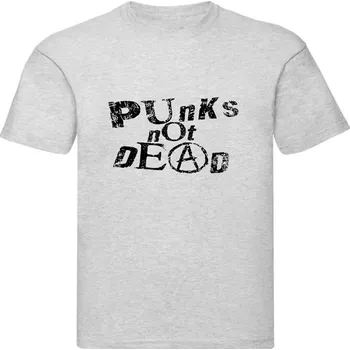 Pánské tričko šedivé pánské triko Punk s Not Dead