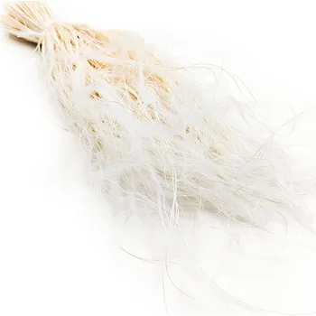 mech-mech.cz Sušený Kavyl Ivanův - (Stipa pennata) - Vybělený