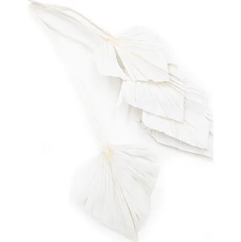 mech-mech.cz Sušená řezaná palma (Palm Spear) - Vybělené kopí