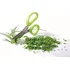 Kuchyňské nůžky Prosperplast Herbs Cut 13 cm mix barev