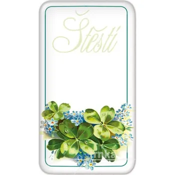 Dekorativní magnet Magnet čtyřlístky pro štěstí 50 x 90 mm/KT