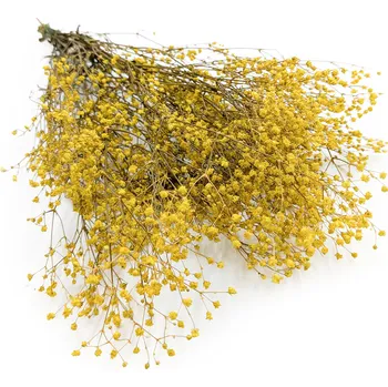 mech-mech.cz Stabilizovaný Šater - (Gypsophila) - pastelově žlutá