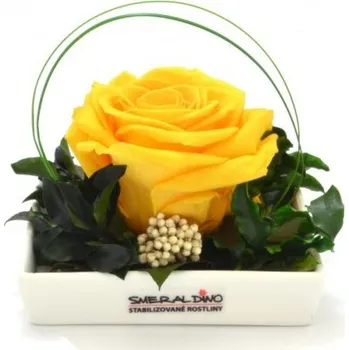 umělá květina Dekorace stabilizovaná růže Barva: Yellow
