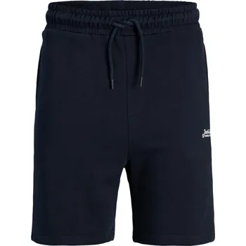 Oblečení a móda Kraťasy Jack and Jones Sky Captain 1140334 M