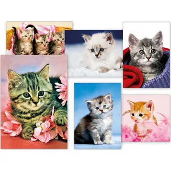 Pohlednice - koťata / mix